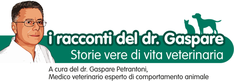 I racconti del dr. Gaspare