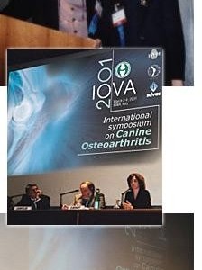 IOVA meeting 2001: tre giorni dentro l'articolazione artrosica del cane