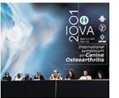 IOVA: simposio sull’artrosi del cane