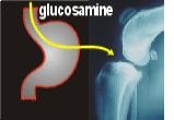 Glucosamina: dallo stomaco dritta in cartilagine