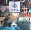 BSAVA 2002: “il nuovo che avanza” in tema di artrosi