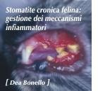 Stomatite cronica felina