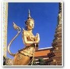 Lo WSAVA in Thailandia