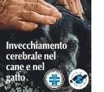 Invecchiamento cerebrale: 4 crediti ECM ad Alessandria