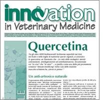 Quercetina: un anti-artrosico naturale