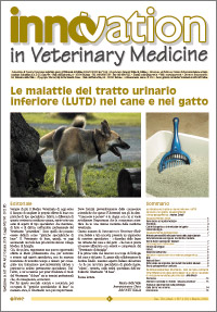 Le malattie del tratto urinario inferiore (LUTD) nel cane e nel gatto