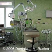 Dentalvet: lo studio dentistico approda in veterinaria