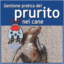 Gestione pratica del prurito del cane