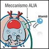 Aliamidi: 10 anni di ricerca