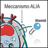 PEA nell’infiammazione cronica