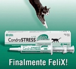 Condrostress® finalmente FeliX