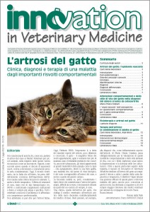 L'artrosi del gatto