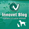 Innovet entra nella “blogosfera”