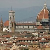 Firenze adotta i cani anziani