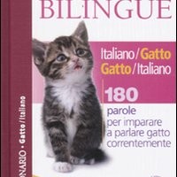 Un dizionario per parlare “gatto”
