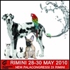 Rimini 2010: le anticipazioni