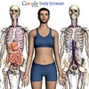 Google scopre il corpo umano