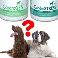 Condrogen® e Condrostress®. Quando uno e quando l’altro.