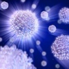 Nobel per la Medicina: vince l’Immunologia