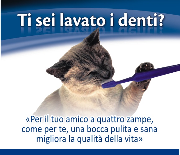 Ti sei lavato i denti? Incontro per proprietari di cani e gatti.