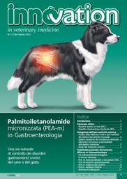 Palmitoiletanolamide micronizzata in Gastroenterologia