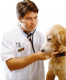regole-veterinario