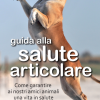 Un nuovo sito sulla Salute Articolare del cane: www.articolazioniprotette.it