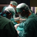 La chirurgia non ferma l’artrosi del ginocchio