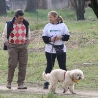 A passeggio con il cane: rischi e precauzioni