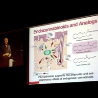 Aliamidi all’Europeo di Dermatologia