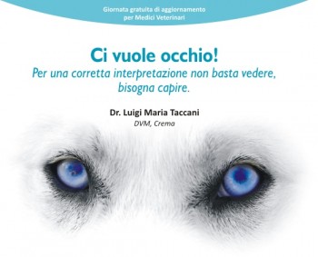 Incontro di oftalmologia