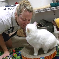 NEGLI USA UN SANTUARIO PER GATTI NON VEDENTI