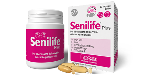 Senilife® Plus