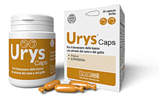Urys® Caps