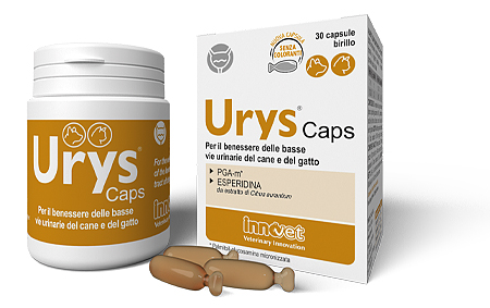 Urys® Caps