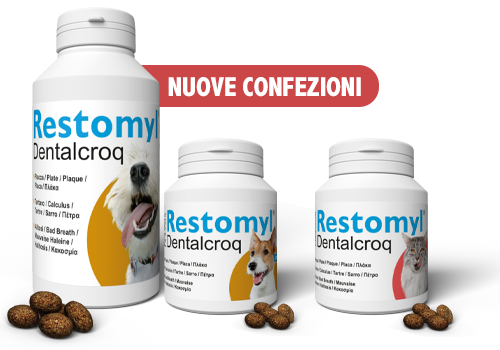 Restomyl® Dentalcroq