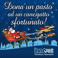 A NATALE DONA UN PASTO A UN CANE/GATTO SFORTUNATO