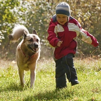 CHICCO A PASSEGGIO CON FIDO