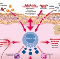 Visione moderna della dermatite atopica canina