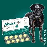 Nasce Alevica®. Per una corretta funzione nocicettiva