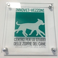 Nasce il centro Innovet-Vezzoni per lo studio delle zoppie del cane