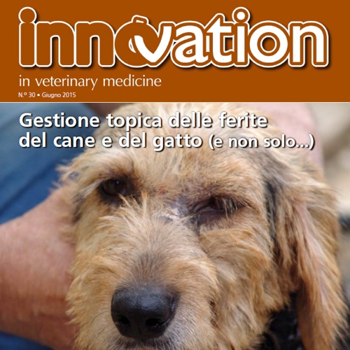 Una nuova innovation dedicata alle ferite