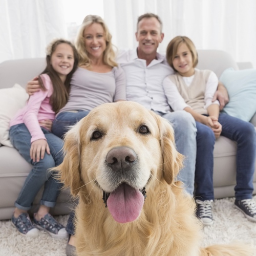 Italiani, popolo di amanti dei cani e gatti