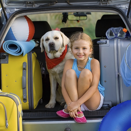 Cosa mettere nella valigia di fido in vacanza