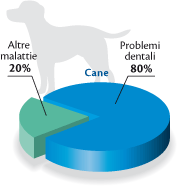 grafico_cane