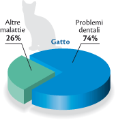 grafico_gatto