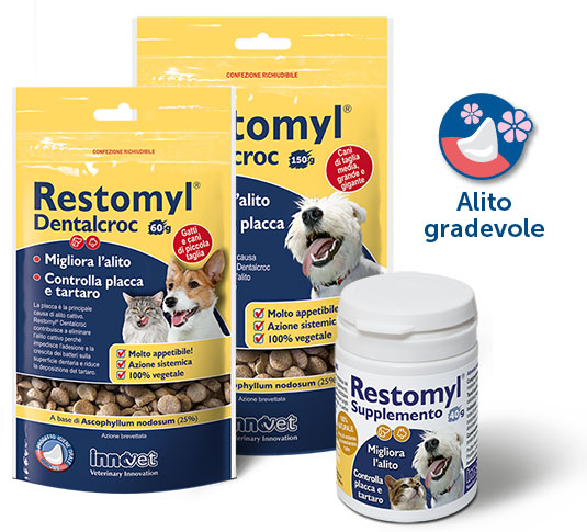 restomyl_dentalcroc_e_supplemento