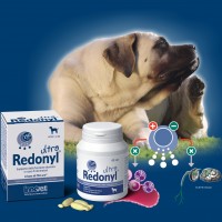 Siglato un accordo tra Innovet e Premune per il  mercato globale di Redonyl® Ultra