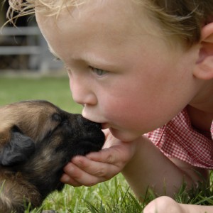 Cani e gatti contro le allergie dei bambini