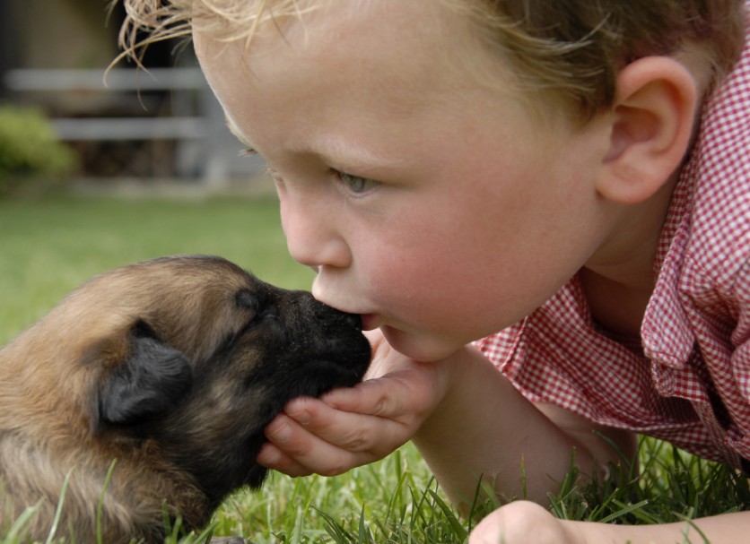 Cani e gatti contro le allergie dei bambini